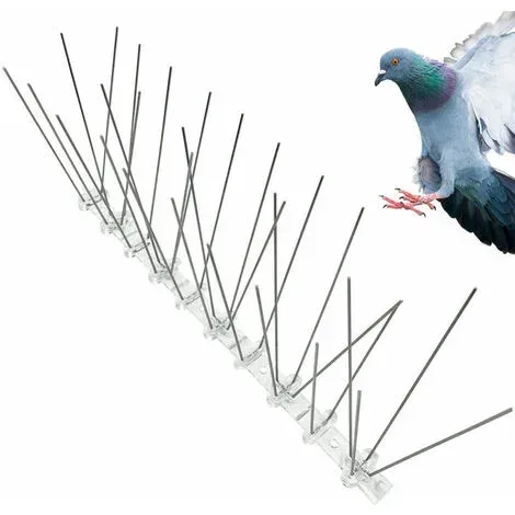 Pic Anti-Pigeons